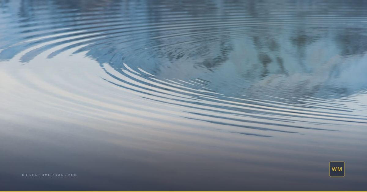 Scene: Concentric ripples spreading across dark still water surface